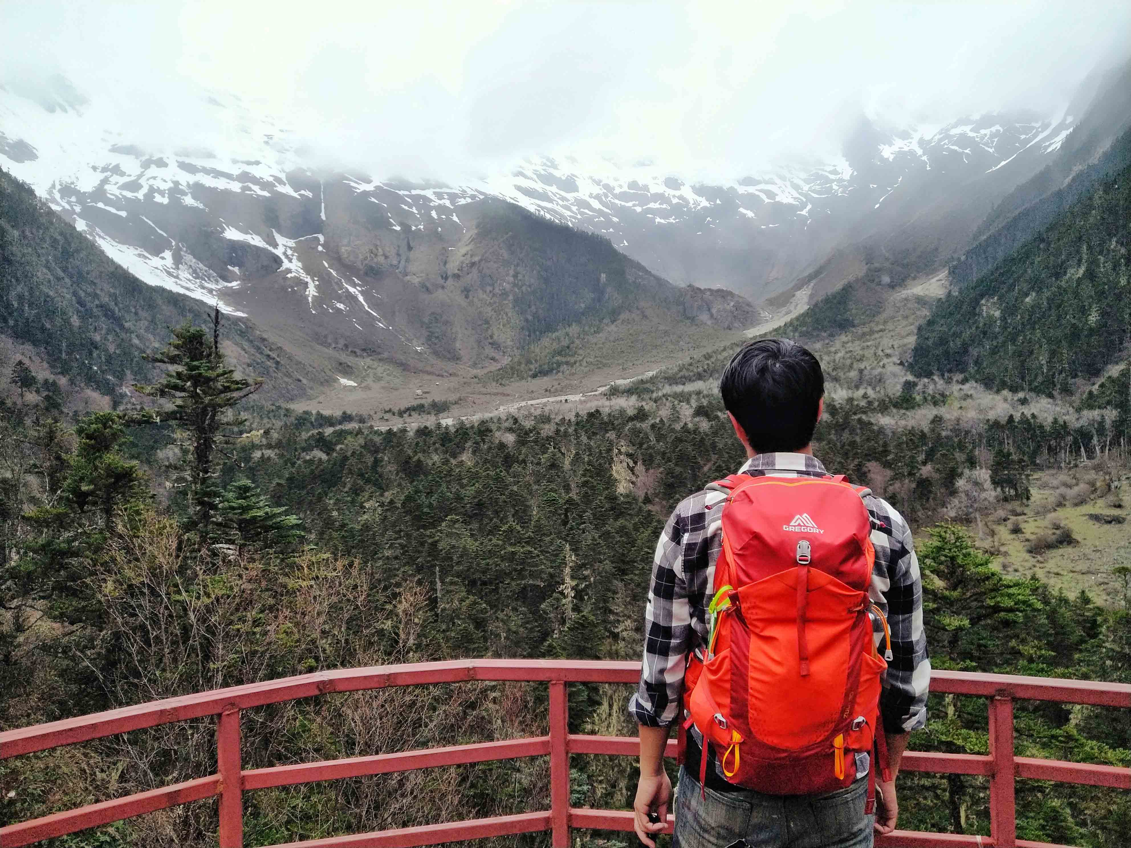 强迫症治疗一次需要多少钱,强迫症治疗一年费用多少