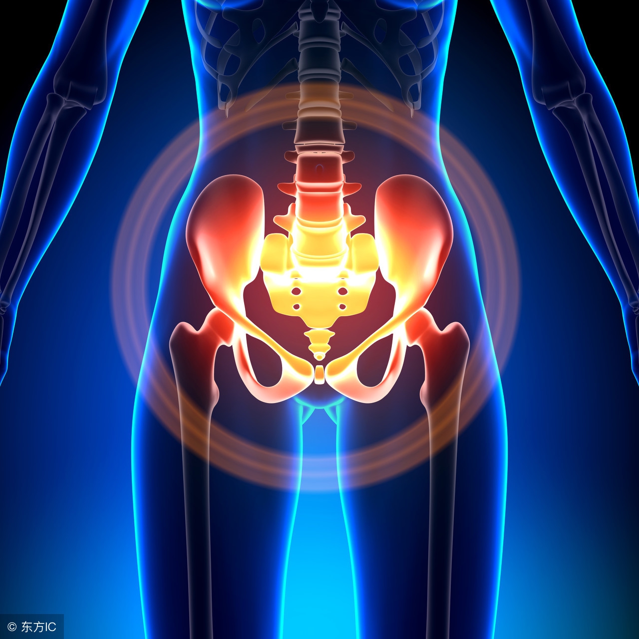 盆腔积液，女人的红颜祸“水”