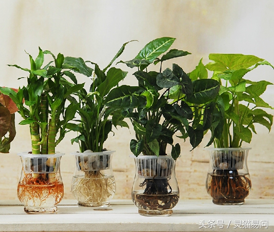 财运财位在哪里看出来的,怎么知道自己家的明暗财位