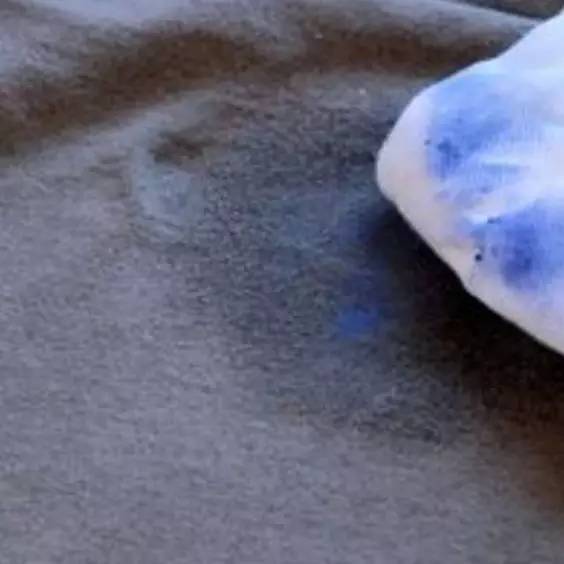 水里滴一滴风油精,风油精加水里