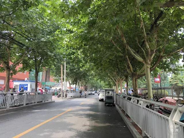 致青春中的美好时光,致青春最美好的时刻