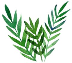 滴眼药水为什么会感觉恶心,滴眼药水为什么会感觉眼睛辣