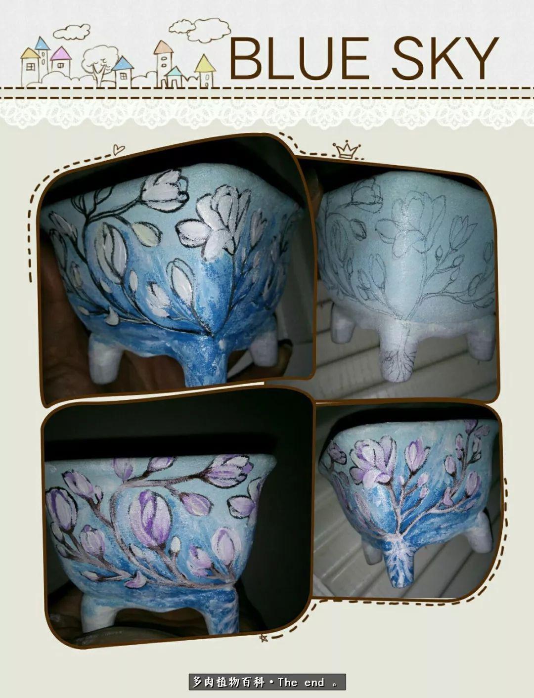 宝宝养多肉,养多肉宝妈