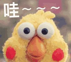 长春115支线公交车路线及时间表,长春如何乘坐公交地铁最方便