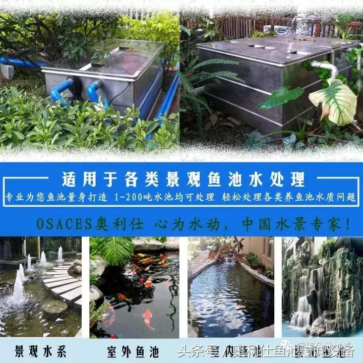 大型垃圾场如何建设,垃圾场是怎么变废为宝的