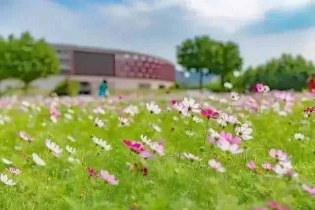 陕西高校｜来到陕师大，一起做最亮的闪star吧！