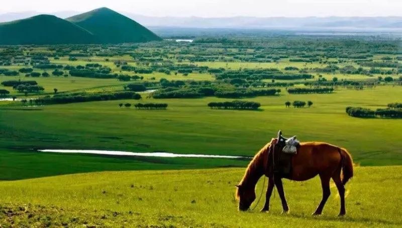 告诉你内蒙古不包邮的原因,内蒙古为什么不包邮呢