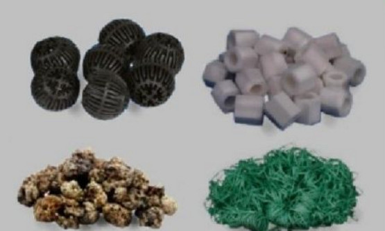 新鱼缸开缸多久能建立硝化系统,开缸硝化系统的建立大概多长时间