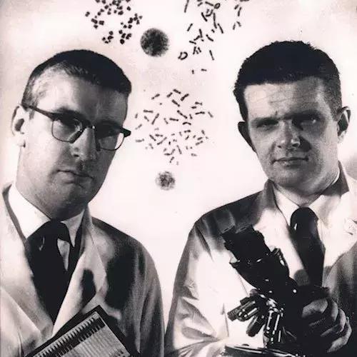 神药治百病真相,特效药为什么那么神奇