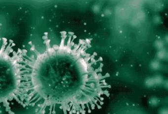 神药治百病真相,特效药为什么那么神奇