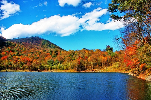 石棉县盛产石棉吗,石棉县盛产石棉