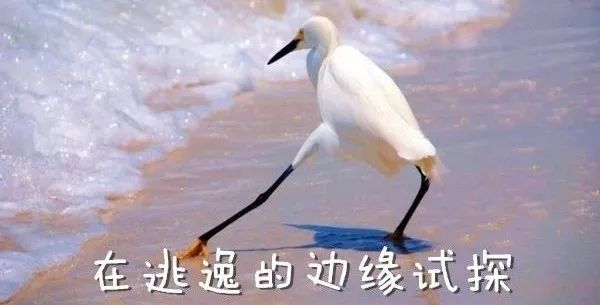 被认定为交通肇事逃逸的八种情况,司机无察觉交通事故算肇事逃逸吗