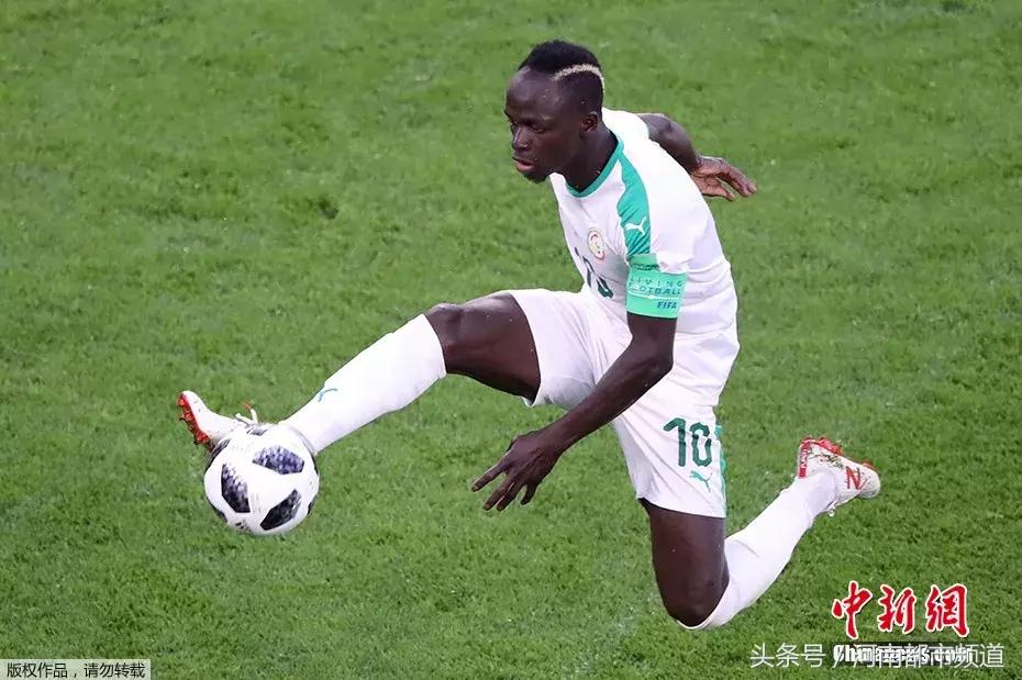 世界杯各种发型图片大全,世界杯发型