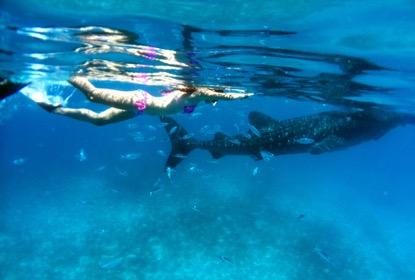 东南亚人少景美海岛,不想去人多的地方可以去哪玩