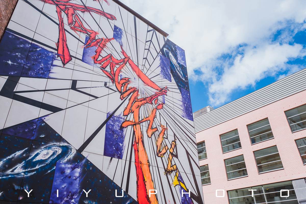 美食不停站——我的荷比法火车“逛吃”之旅