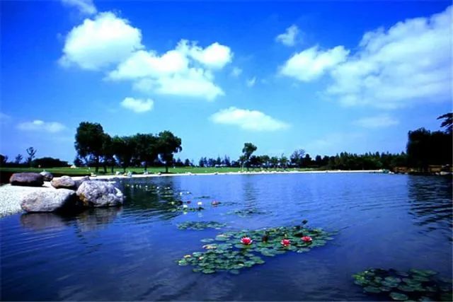 魔都这两个低调的区后来居上，将被全世界瞩目！