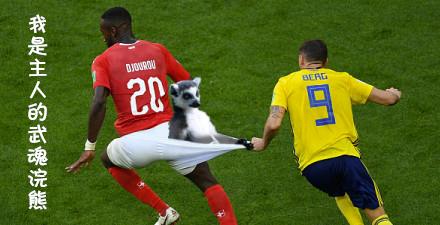 足球世界杯表情包动态gif,盘点世界杯的表情包