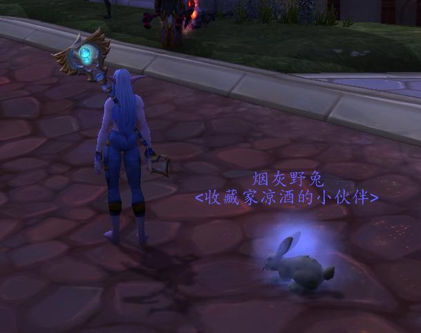 达拉然隐藏小宠物,魔兽世界7.0达拉然纳特帕格npc