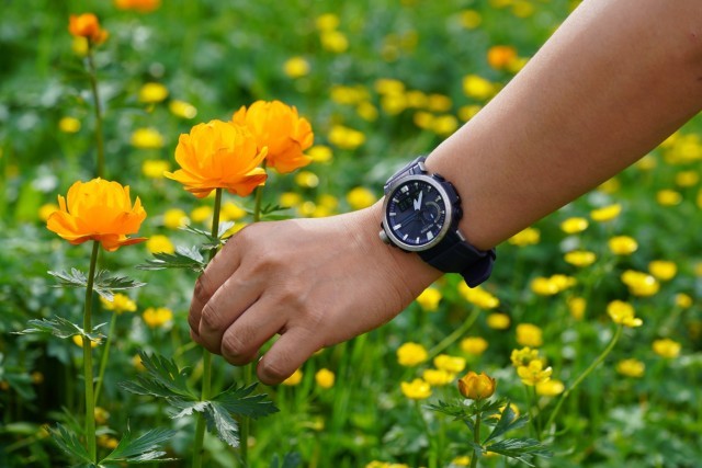 椹伴獘鎴峰,椹伴獘鎴峰鐢ㄥ搧