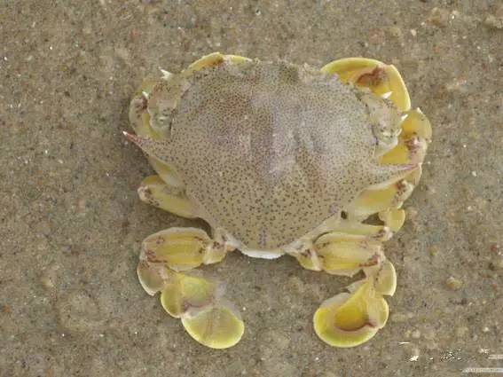 日照有什么好玩的地方,日照金山