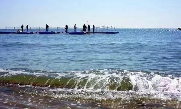 天津去东戴河旅游必备物品,天津去南戴河旅游攻略