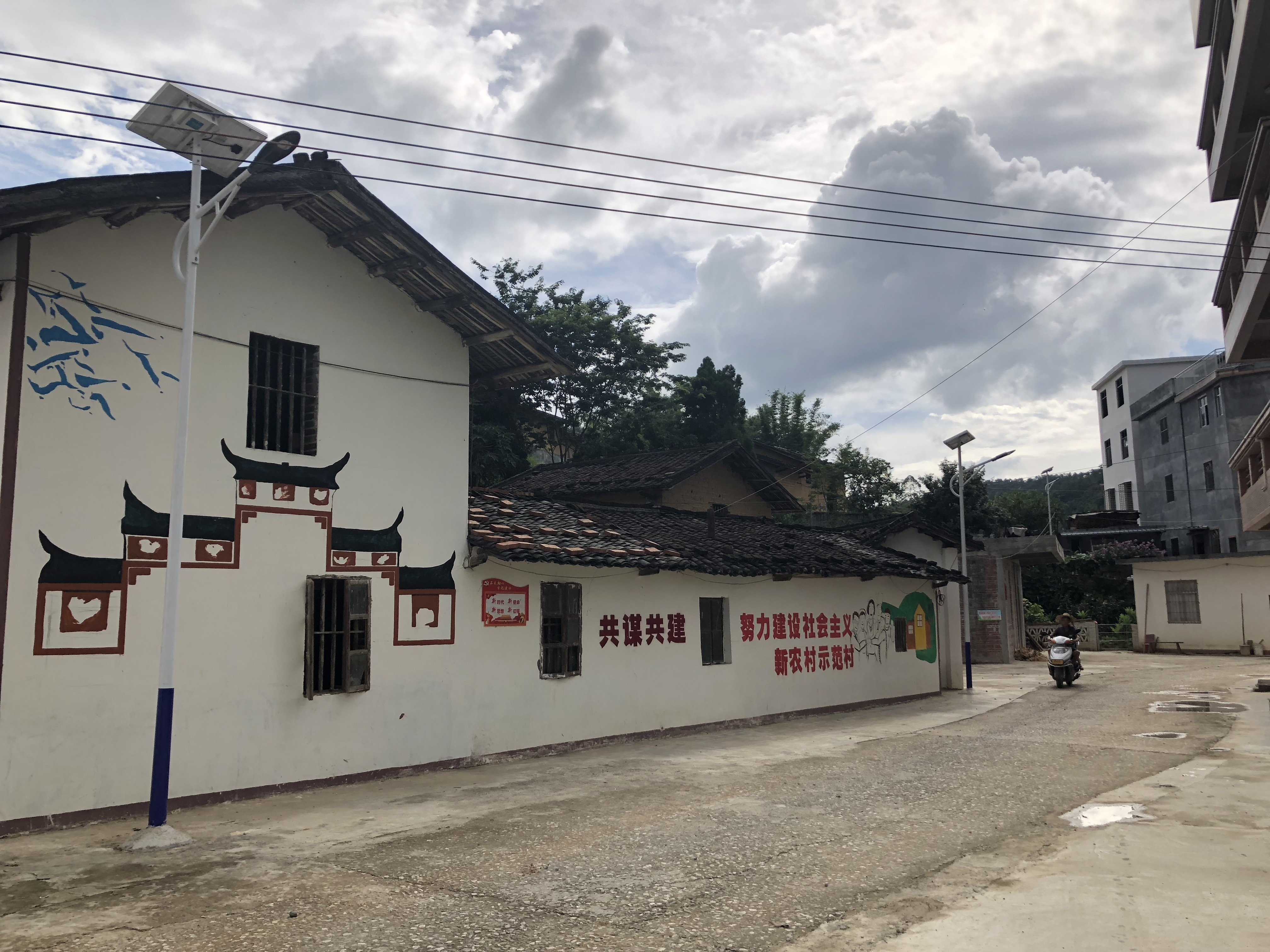 云浮打造特色乡村振兴项目,阳江云浮乡村振兴