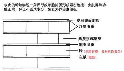 难道这就是从天而降的万金油!人手一瓶,谁用谁年轻!