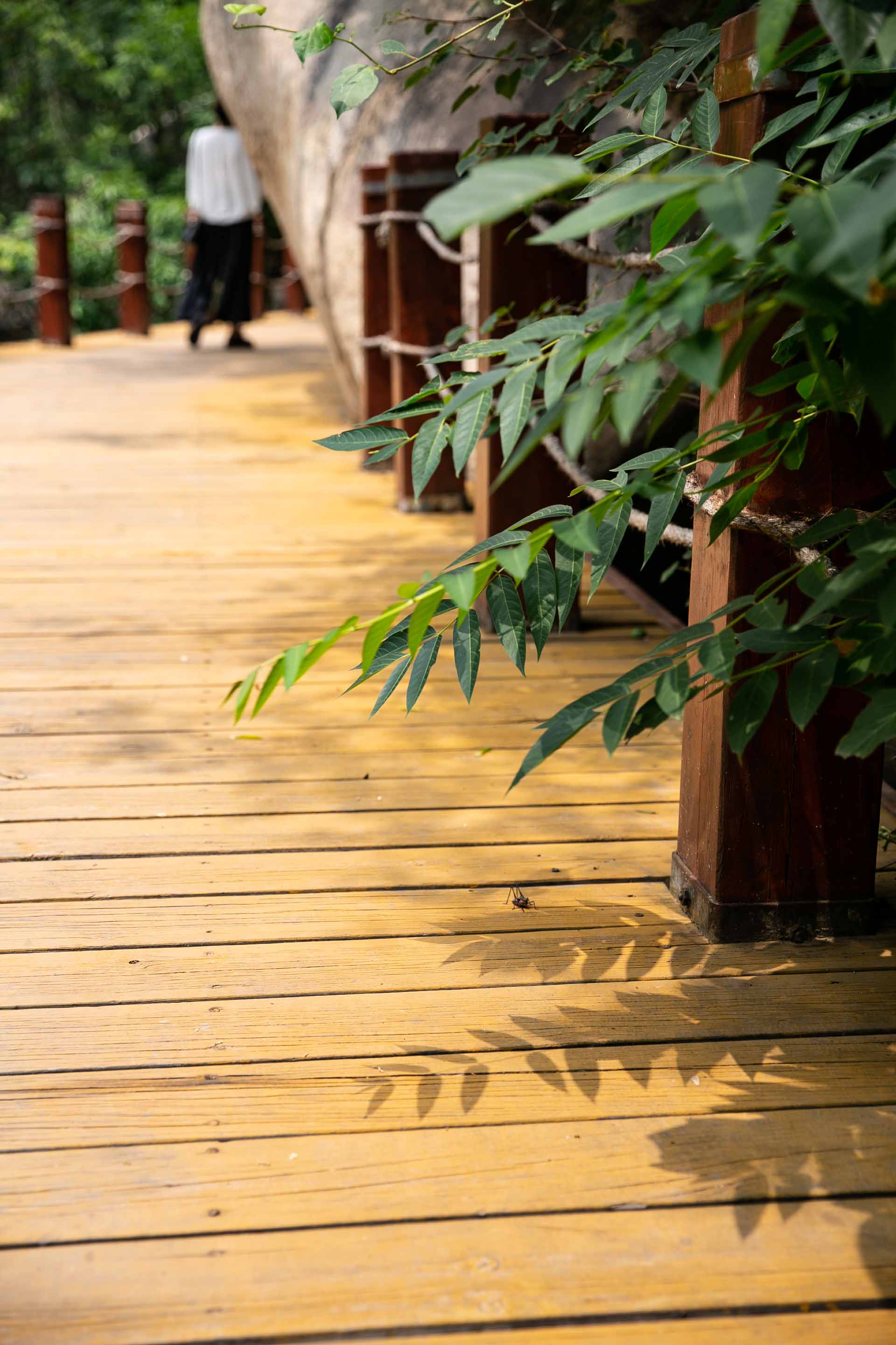 秦皇岛避暑一日游攻略,秦皇岛旅游祖山攻略