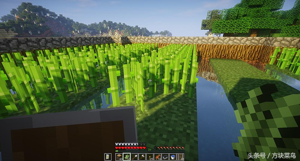 我的世界生存日记搬家攻略,我的世界生存日记单人生存小技巧