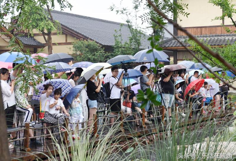 烟雨濛濛诗经里，古琴雅集醉游人