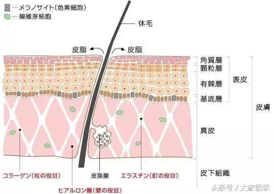 女人们醒醒吧原版视频,女人们醒醒吧原视频