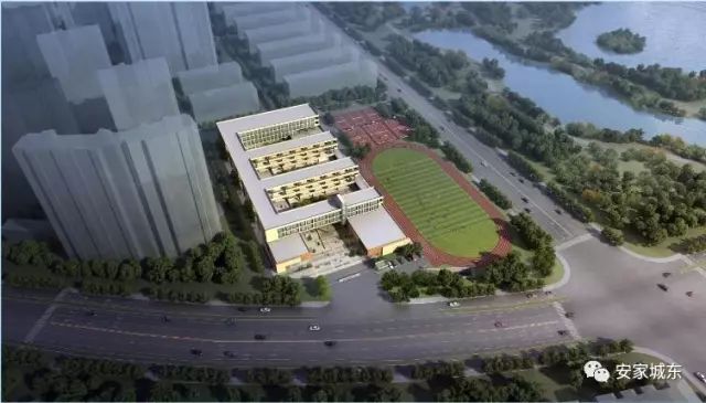 爆发！黑马中学出炉，全新小学投用，仙林迎来教育新格局