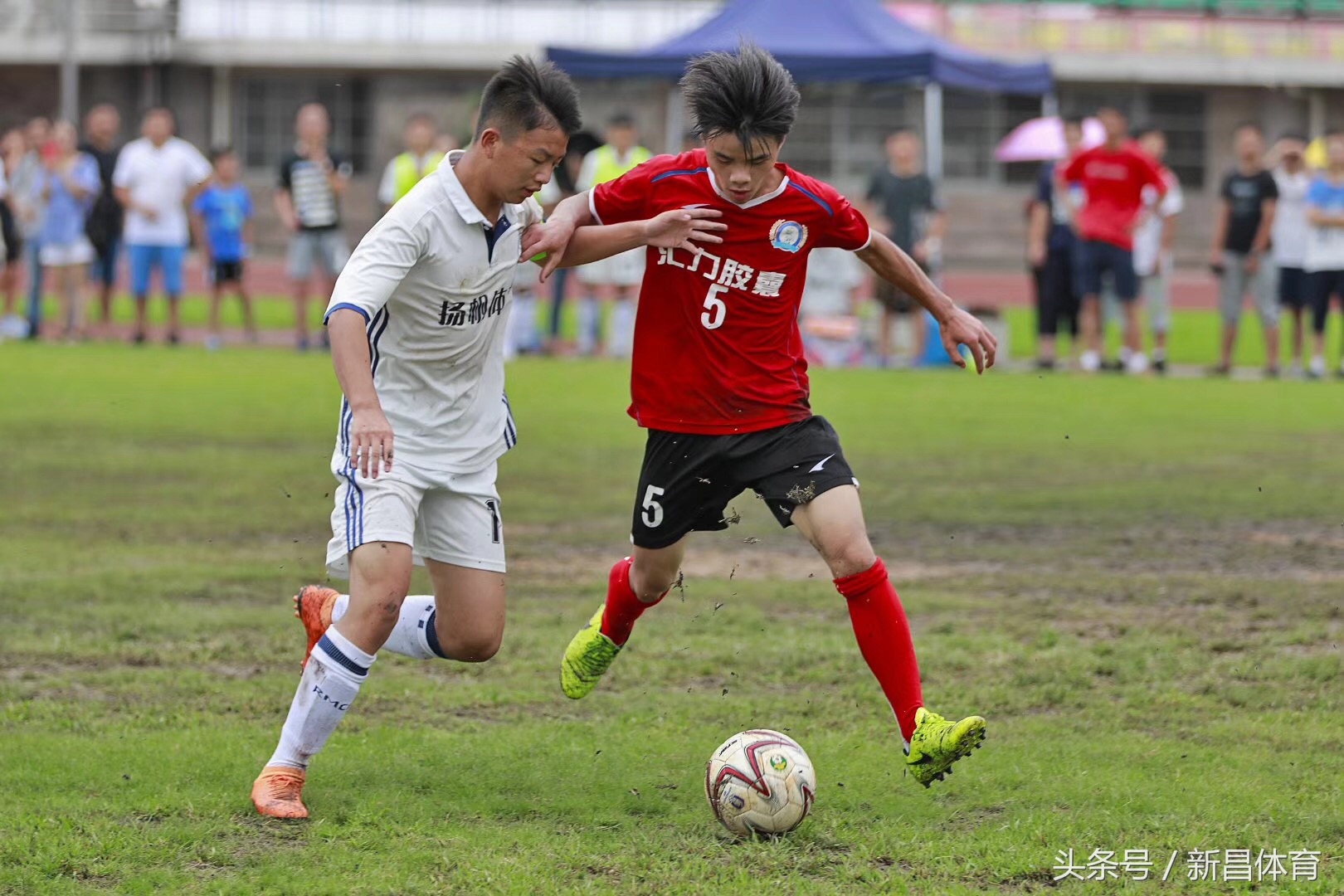 青少年足球比赛小学直播,少年足球联赛新昌县