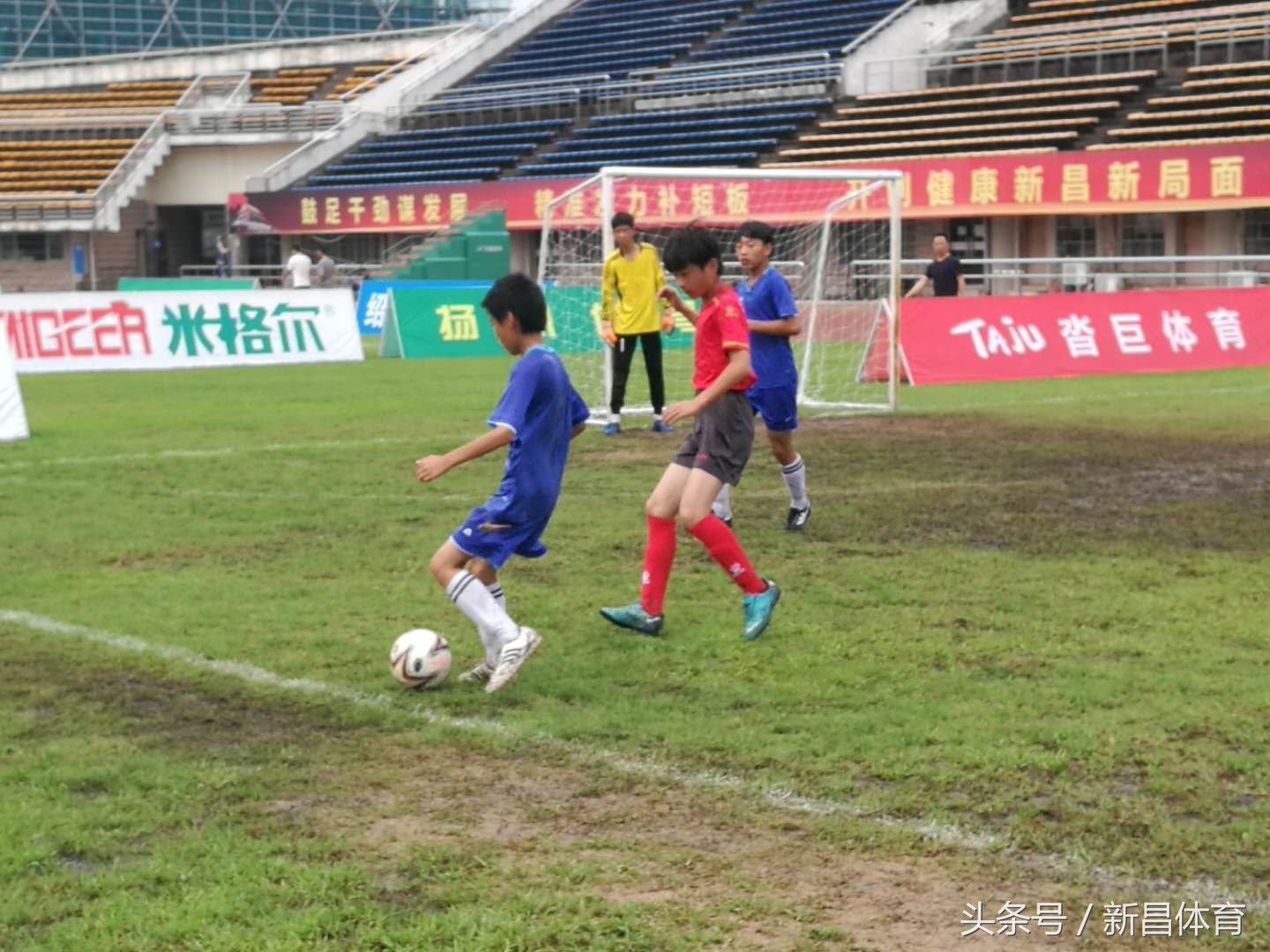 青少年足球比赛小学直播,少年足球联赛新昌县