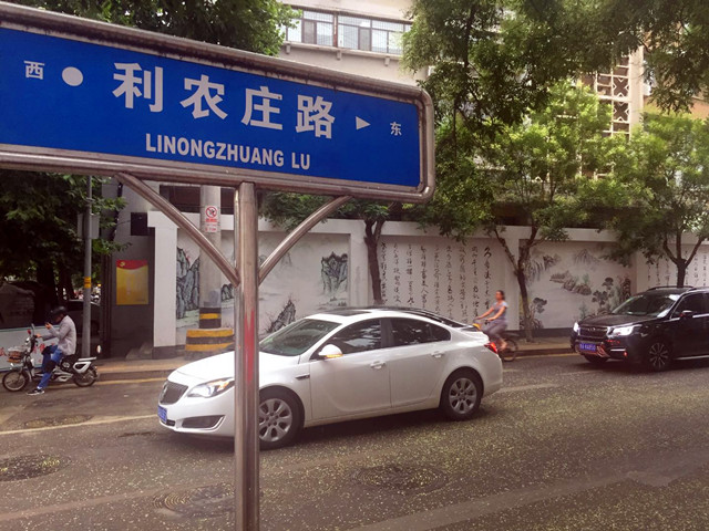 济南现在最“香”的一条街,在东部老城区,花香满地