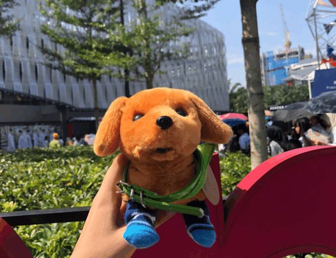 爱丽给边伯贤钱,朴灿烈边伯贤爱丽