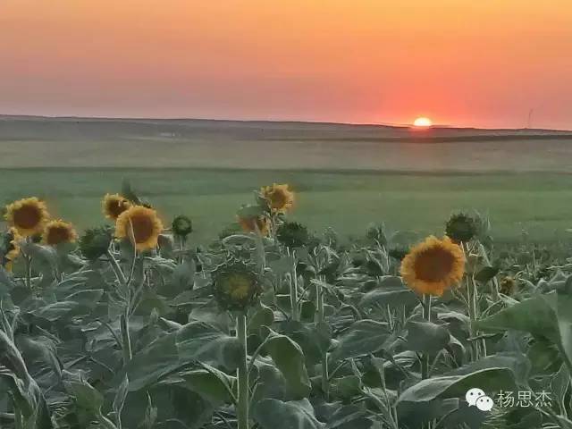 音乐收藏推荐,最适合旅行听的20首歌