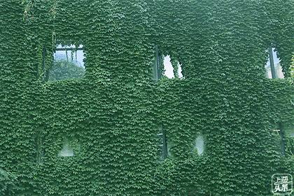 上海太震撼了的视频,上海城市风光中心