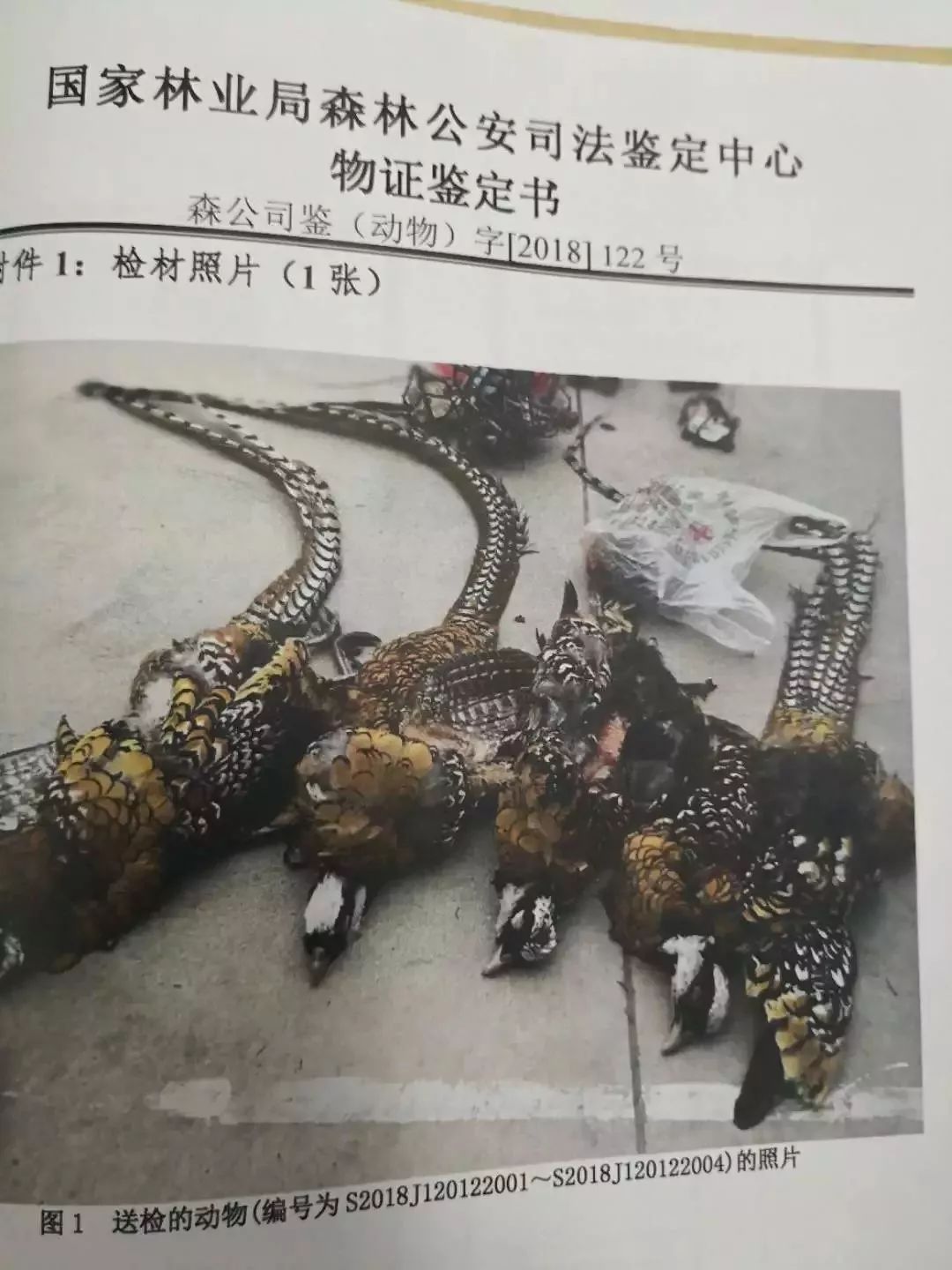 吃了4只鸡被判5年起因,男子吃四只鸡被判了五年