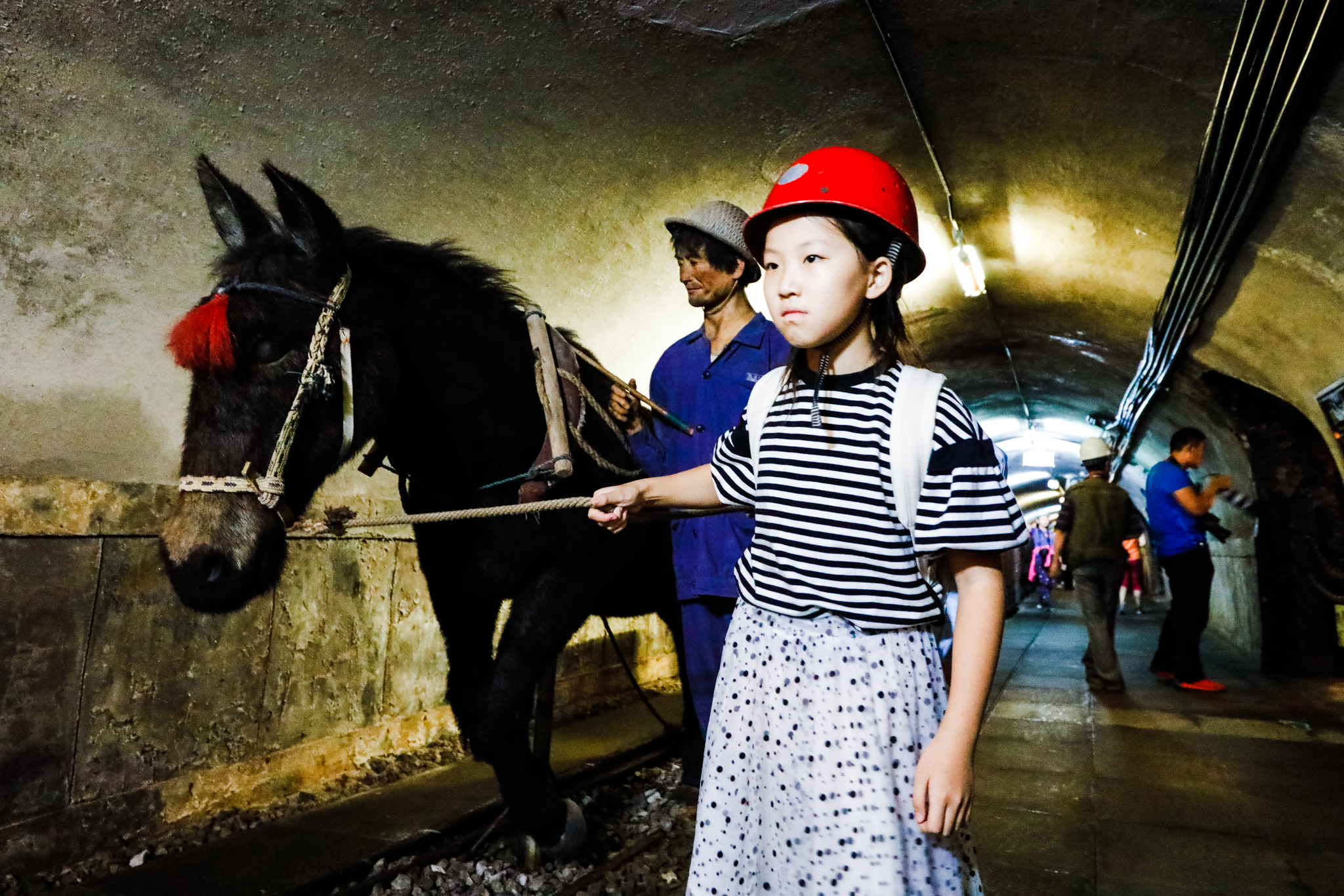 唐山市内研学,唐山研学攻略