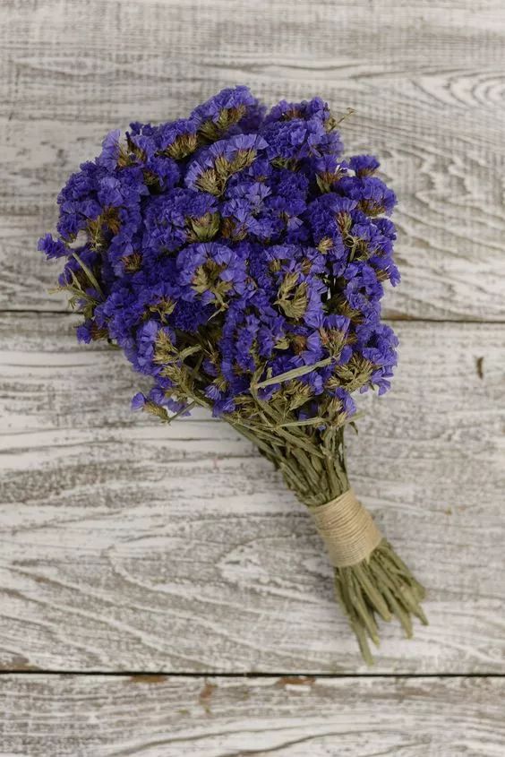 勿忘我花束制作方法超简单,自制勿忘我花束包装教程