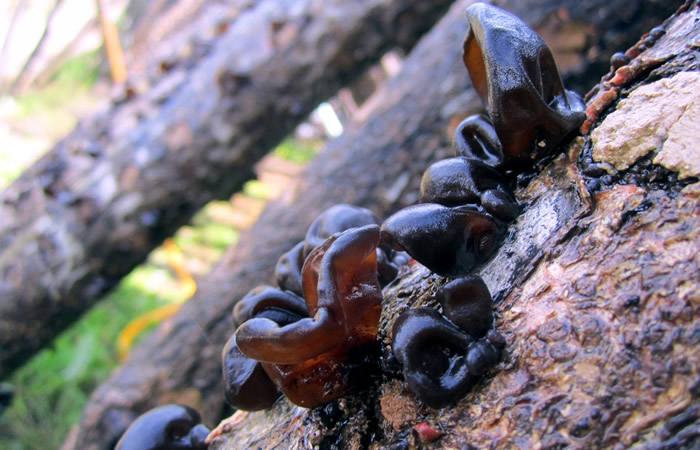 农特产品电商平台营销思路和方法,土特产电商怎么推广