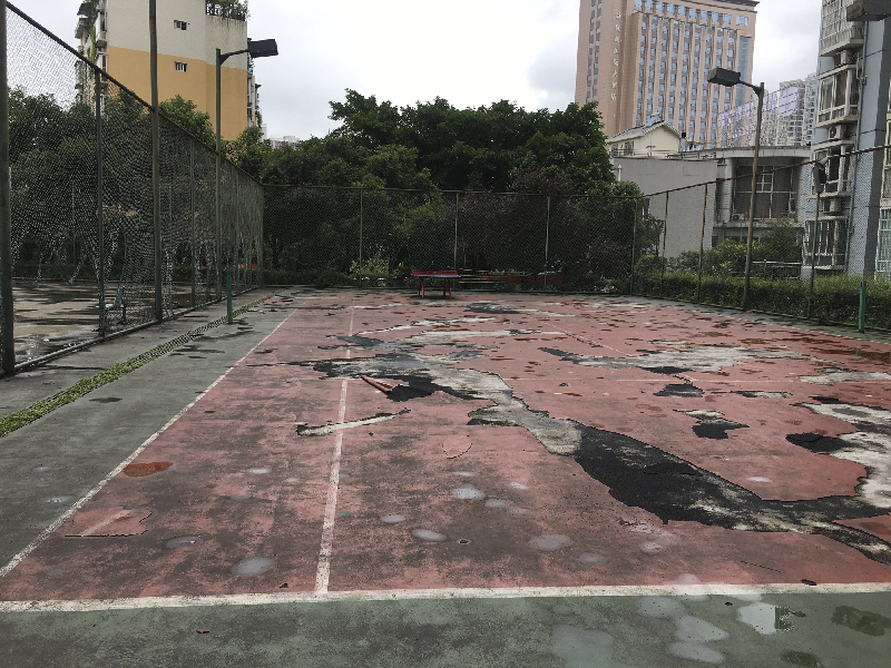 一声叹息！西外国际新城往昔美丽如公园今朝“新城”变“农场”