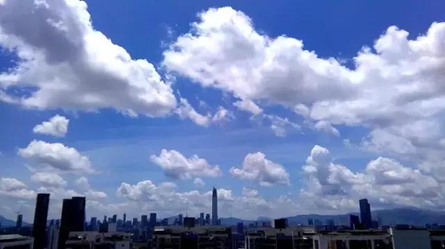 我叫深圳，这是我的个人简历，请查看！