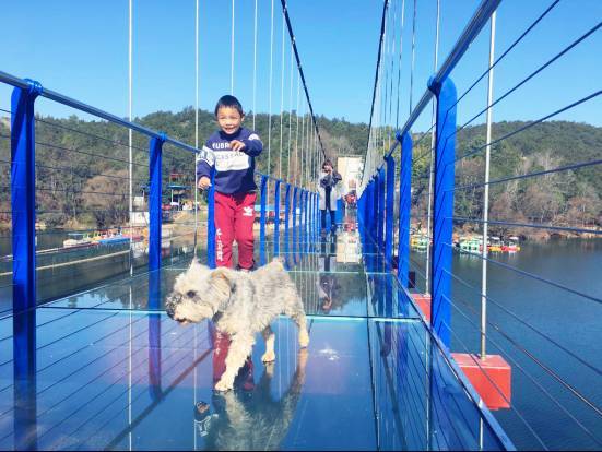 云南9d玻璃栈道,云南雪山峡谷玻璃栈道