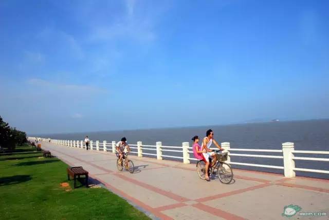 最新厦门六日游攻略,厦门六日游全攻略