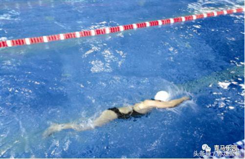 天津体育学院课程建设,天津体育学院马术赛