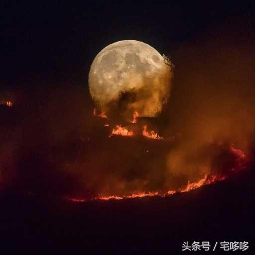 19张恐怖图片,19张不可思议的图片