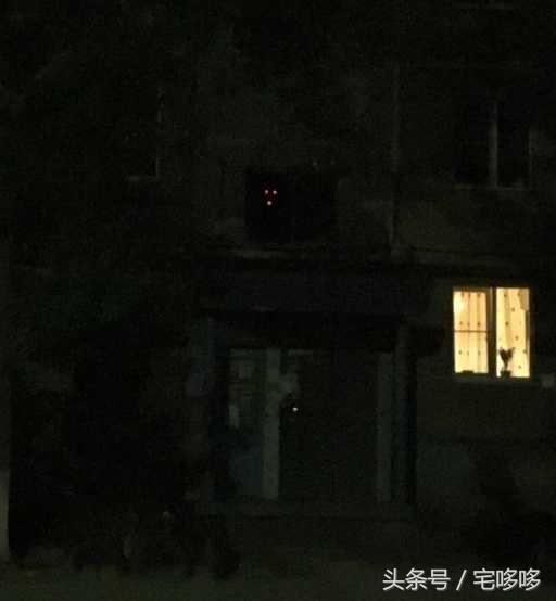 10张没p图但透露着诡异的照片,19张诡异的图片