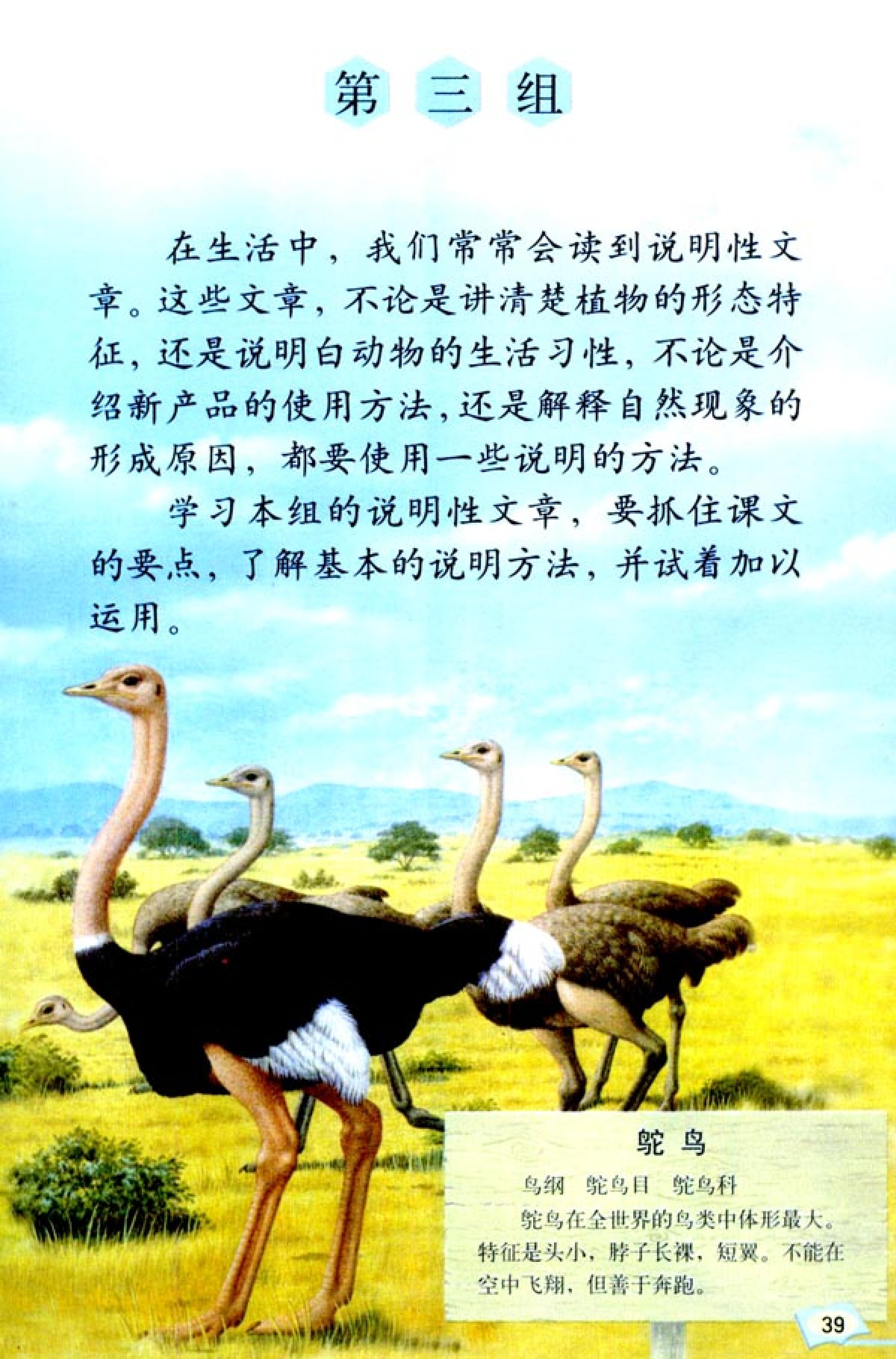 五年级上册语文课本电子版第21课,2021年人教版五年级上册语文课本